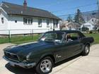 Mustang