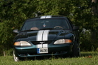 stang1