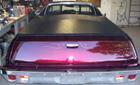 el camino