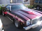 el camino
