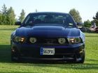 stang