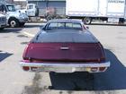 el camino