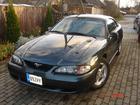 mustang