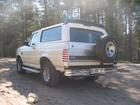 Bronco