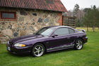 stang