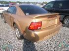 mustang