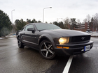 Mustang