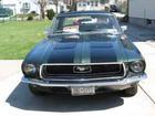 Mustang