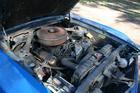 Stang3