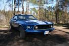 Stang1