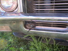Roadkill