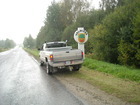 Ltimaal