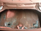 trunk