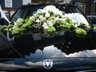 pulmaauto