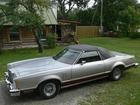T-BIRD