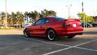 stang