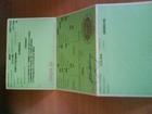 Pilt 5