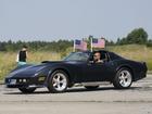 2010 American beauty car show 