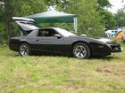 American Beauty Car Show
