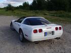 Backview