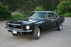 Stang3