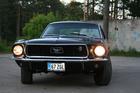 Stang1