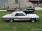 American Beauty Car Show