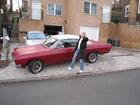 skylark2