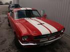 mustang