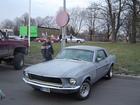 stang3