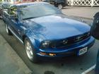 mustang