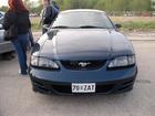 mustang