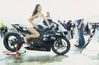 RR2005008.jpg