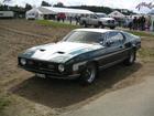 mustang