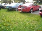 mustang ja caprice