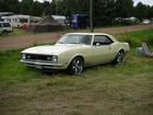 camaro